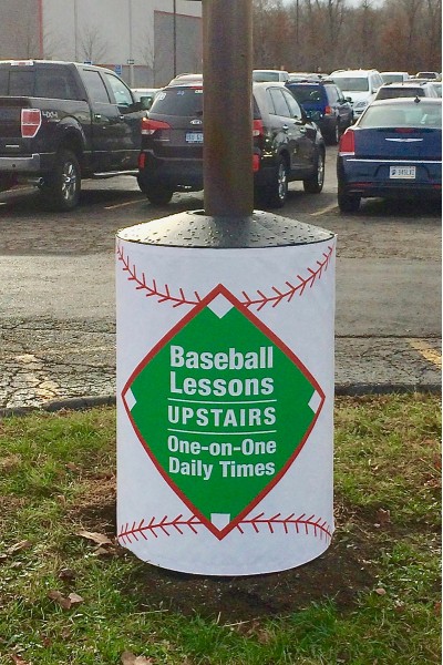 Baseball Lessons Poletector